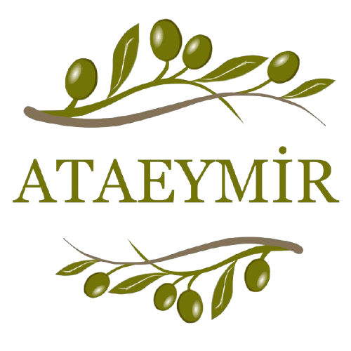 Ataeymir Logo